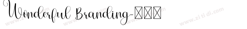 Wonderful Branding字体转换